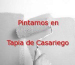 pintor_tapia-de-casariego.jpg